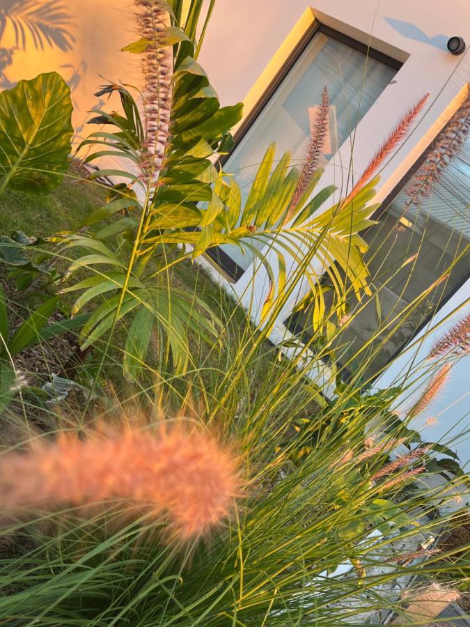 L'Empreinte-Oasis De Serenite Au Coeur D'Un Jardin Tropical Le Tampon Exterior foto